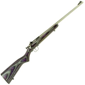 Crickett Purple Laminate Stock 22 Long Rifle Stainless